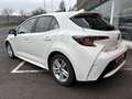Toyota Corolla HYBRIDE / ESSENCE Blanc - thumbnail 7