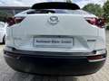 Mazda MX-30 35,5 kWh e-SKYACTIV FEM-P Weiß - thumbnail 2