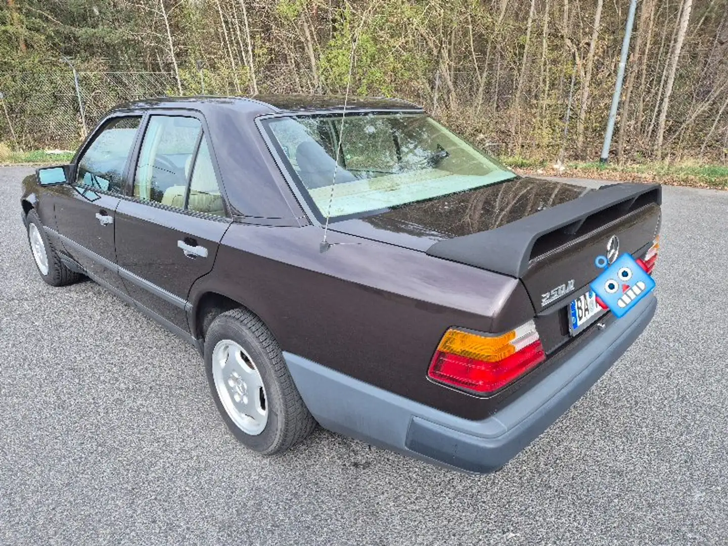 Mercedes-Benz E 250 250 D, 1.Hd., unfallfrei, ungeschweißt, H-Zul. Brun - 2