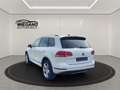 Volkswagen Touareg 3.0 V6 TDI SCR-R-LINE+21-ZOLL+PANORAMA+ Biały - thumbnail 3