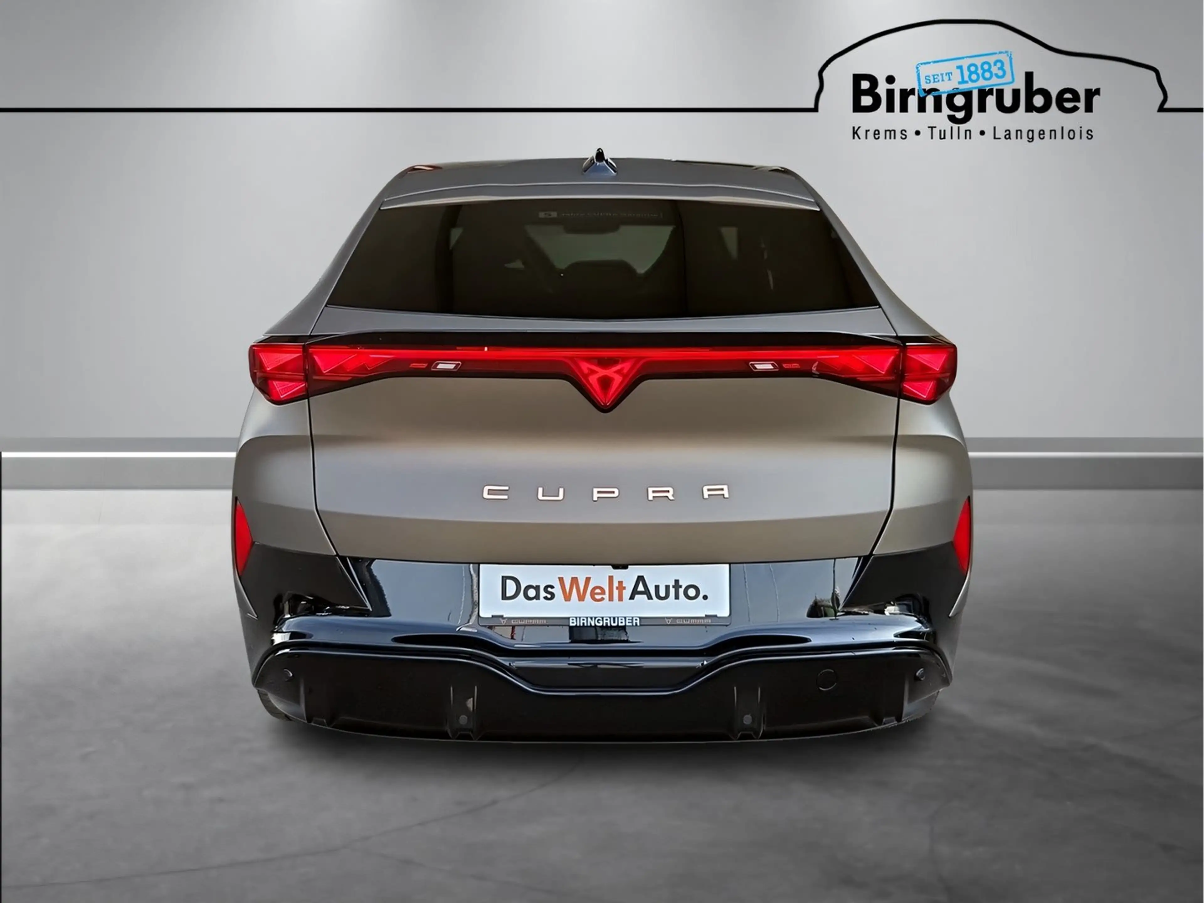 CUPRA Tavascan Extreme 77 210kW/286PS — photo 5