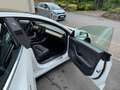 Tesla Model 3 Model 3 Allradantrieb Dual Motor Performance Weiß - thumbnail 5