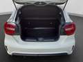 Mercedes-Benz A 45 AMG 4 Matic SPORT-AGA KAMERA XENON Weiß - thumbnail 17
