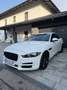 Jaguar XE 20d Prestige Aut. Weiß - thumbnail 1