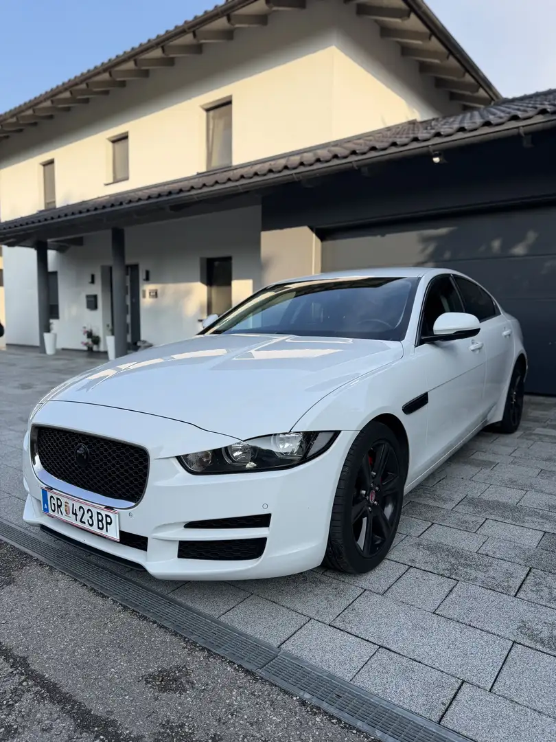 Jaguar XE 20d Prestige Aut. Weiß - 1
