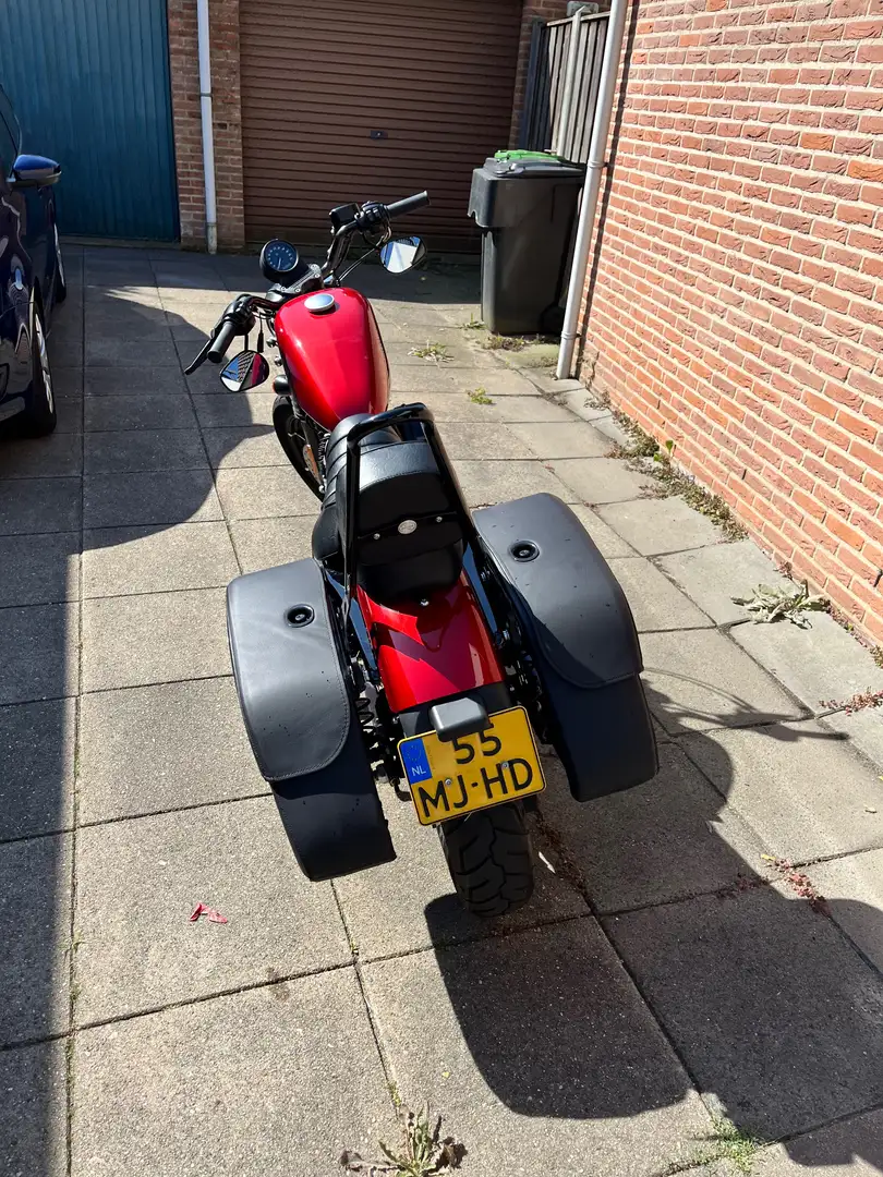Harley-Davidson Iron 883 Rouge - 2