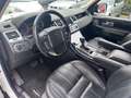 Land Rover Range Rover Sport Range Rover Sport 3.0 tdV6 HSE*MOTORE CON 100.000K Weiß - thumbnail 8