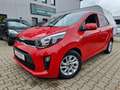Kia Picanto Dream Team Allwetterreifen Rot - thumbnail 1