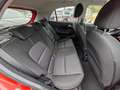 Kia Picanto Dream Team Allwetterreifen Rot - thumbnail 13