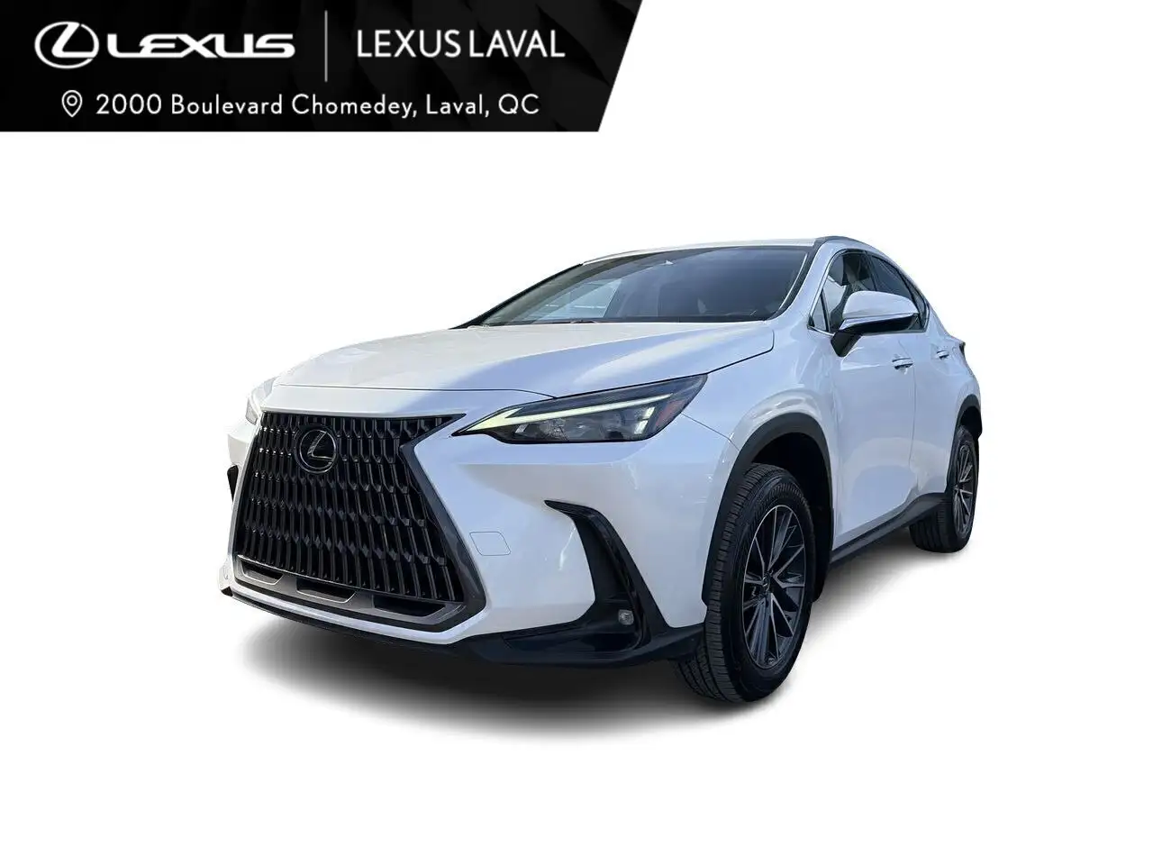 2022 Lexus NX