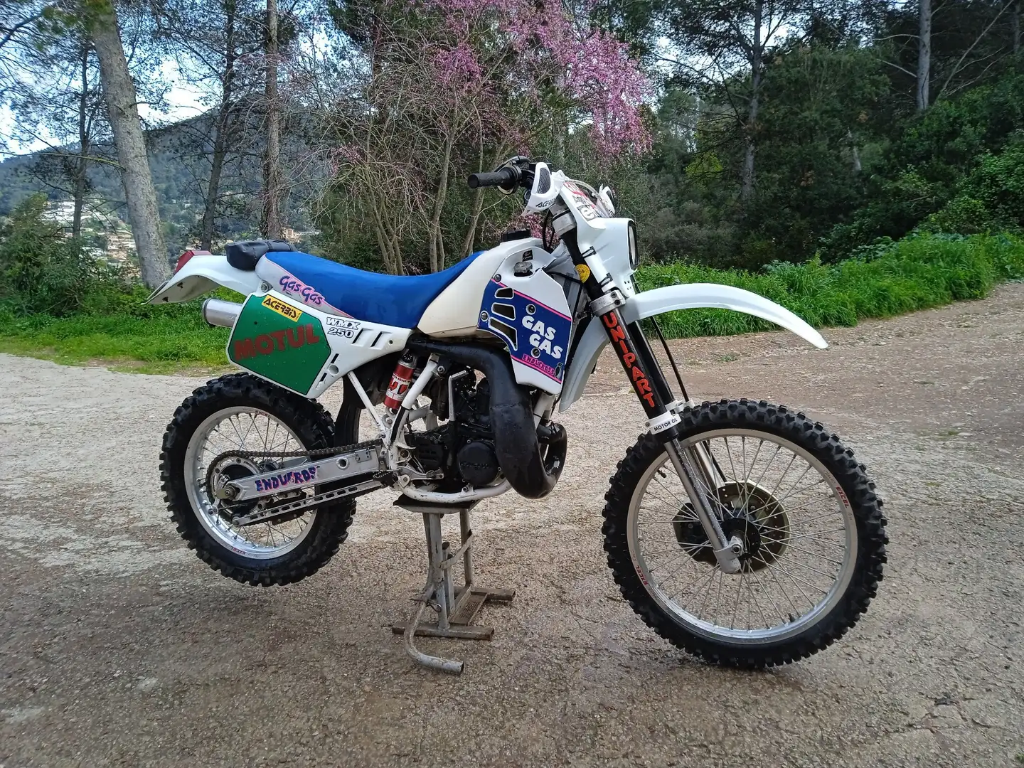 Gas Gas EC 250 Blanc - 1