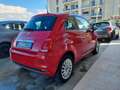 Fiat 500 500 1.0 hybrid Cult 70cv Rouge - thumbnail 5