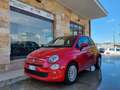 Fiat 500 500 1.0 hybrid Cult 70cv Rouge - thumbnail 2