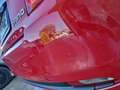 Fiat 500 500 1.0 hybrid Cult 70cv Rouge - thumbnail 25