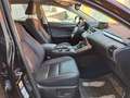 Lexus NX 300 300h Executive Navigation 4WD Schwarz - thumbnail 35