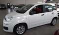 Fiat Panda 1.3 CDTI Easy Blanco - thumbnail 1