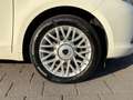 Lancia Ypsilon Ypsilon 1.3 MJT 16V 95 CV 5 porte S&S Silver Weiß - thumbnail 9