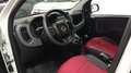 Fiat Panda Panda 1.3 mjt 16v Lounge 75cv E5+*IVA ESPOSTA* Weiß - thumbnail 6