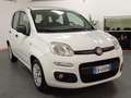 Fiat Panda Panda 1.3 mjt 16v Lounge 75cv E5+*IVA ESPOSTA* Weiß - thumbnail 3