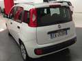 Fiat Panda Panda 1.3 mjt 16v Lounge 75cv E5+*IVA ESPOSTA* Weiß - thumbnail 4