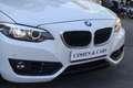 BMW 218 218iA Coupé Blanco - thumbnail 29