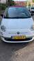 Fiat 500 500 0.9 TwinAir T Cult Wit - thumbnail 1