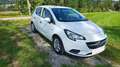 Opel Corsa 1.2 5 porte Blanc - thumbnail 8