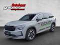 Skoda Kodiaq 1.5 TSI iV 150 kW Sportline Grau - thumbnail 1