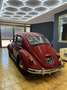 Volkswagen Maggiolino VETRO PIATTO-RESTAURATO Rouge - thumbnail 6
