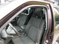 Nissan Navara 2.5 dCi Double Cab PLATINUM EVO 4X4 LB Brun - thumbnail 13