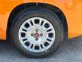 Fiat Panda 1.2 Easy Orange - thumbnail 6