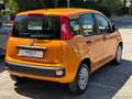 Fiat Panda 1.2 Easy Orange - thumbnail 5