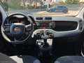 Fiat Panda 1.2 Easy Orange - thumbnail 13