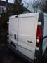 Reliant Sonstige Renault trafik 2.0 dci 114 ps ditel. - thumbnail 3