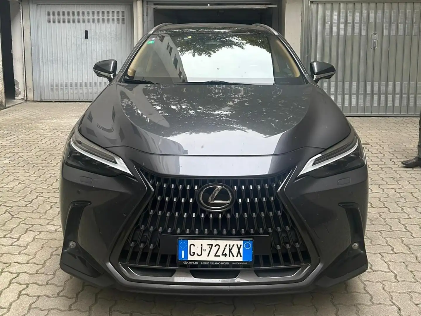 Lexus NX 350h Luxusury Grigio - 1