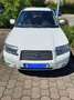 Subaru Forester Forester 2.0X Blanc - thumbnail 6