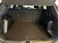 Ford Kuga Kuga 2,0 EcoBlue AWD ST-Line Aut. Blau - thumbnail 12