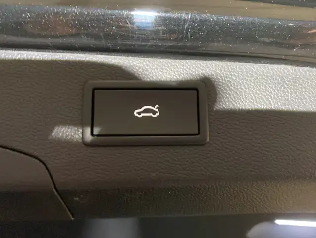 Volkswagen Passat view 13
