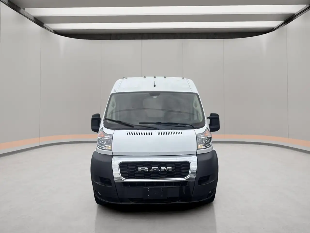 RAM Promaster снимка RAM Promaster