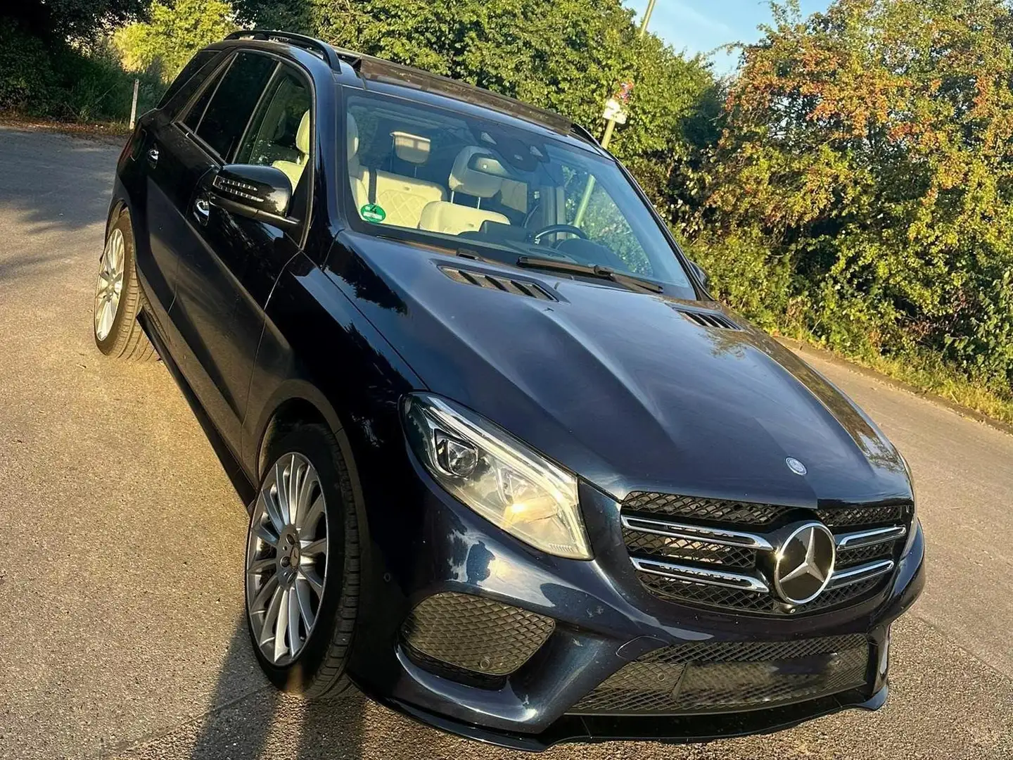 Mercedes-Benz GLE 500 GLE 500 4Matic 9G-TRONIC Bleu - 2