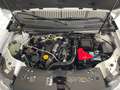 Dacia Duster II Comfort 4WD *LED*AHK*Sitzhz*Temp* Weiß - thumbnail 20