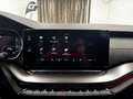 Skoda Octavia 1.4 TSI iV RS iV OPF Blau - thumbnail 20