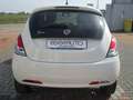 Lancia Ypsilon 1.3 mjt 95 cv Mya Wit - thumbnail 5