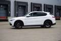 Alfa Romeo Stelvio 2.0 T AWD Super Q4 PACK VELOCE Wit - thumbnail 14