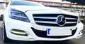 Mercedes-Benz CLS 350 CLS Shooting Brake CDI 4Matic 7G-TRONIC Blanc - thumbnail 12