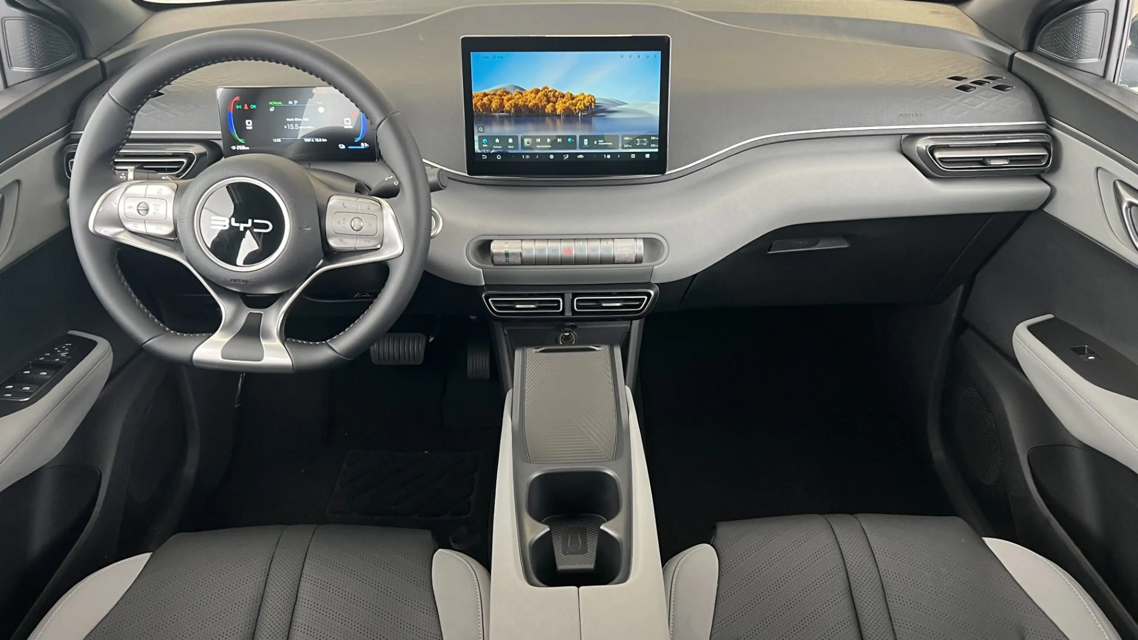 BYD Dolphin Surf Boost — photo 9