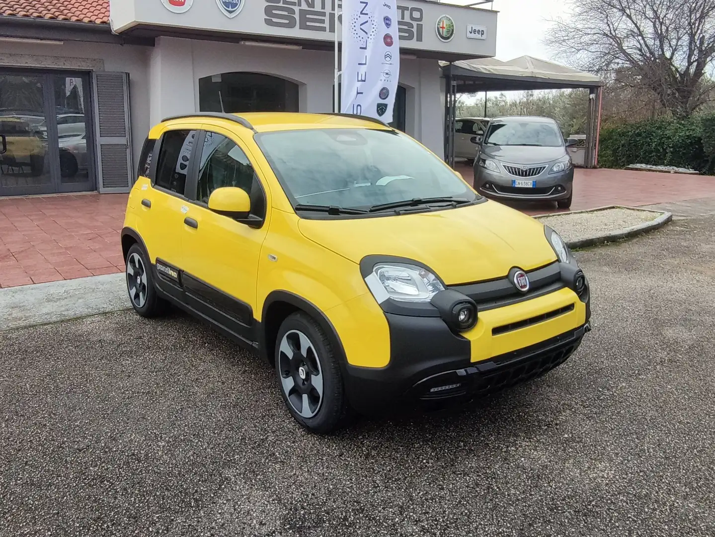Fiat Panda pandina Giallo - 1