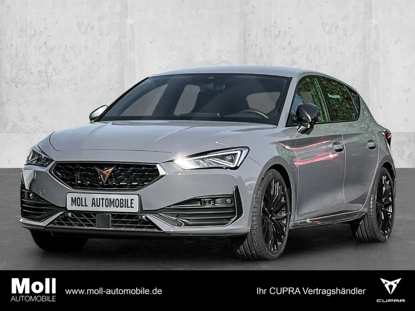 CUPRA Leon VZ 2.0 TSI EU6d Performance Paket-Matrix AD Navi D Grau - 1