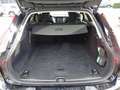 Volvo V90 B4 (d) automatico Plus Bright Nero - thumbnail 15