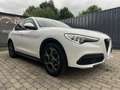 Alfa Romeo Stelvio 2.2 16V 160 AT8 Business Blanco - thumbnail 3